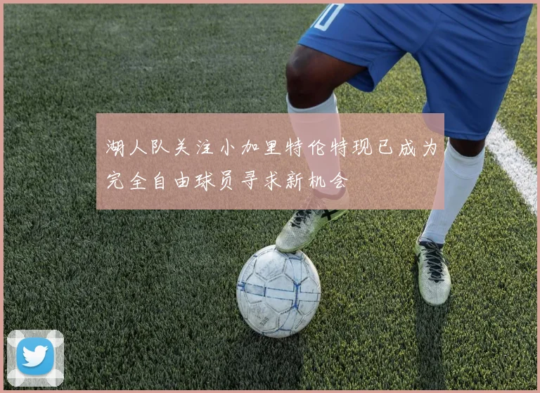 湖人队关注小加里特伦特现已成为完全自由球员寻求新机会